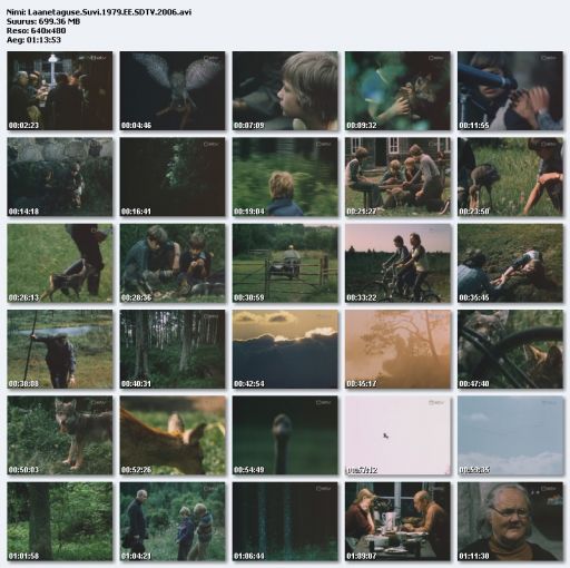 Laanetaguse.Suvi.1979.EE.SDTV.2006